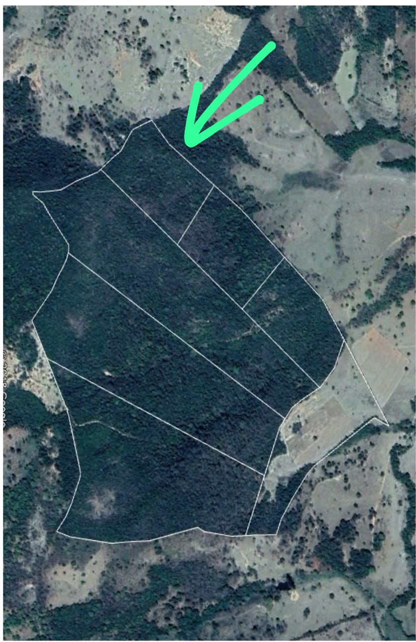 terreno